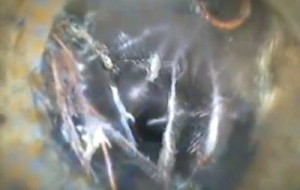 CCTV drain survey reveals ingrowing roots